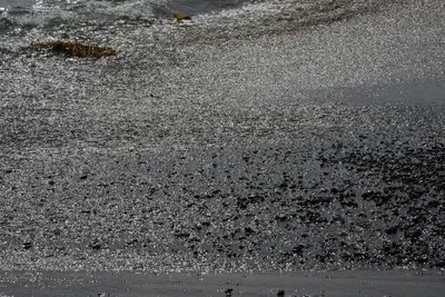 DSC_2275 (Large).JPG